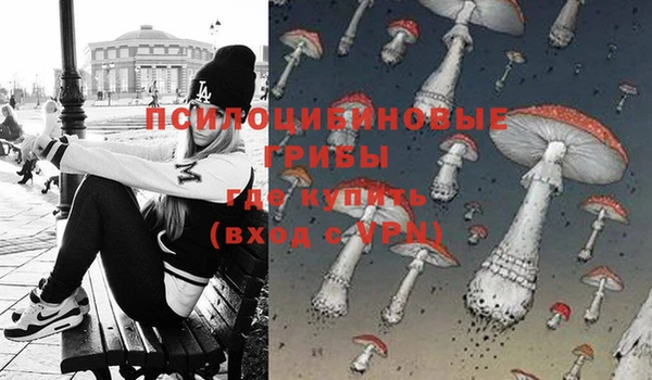 ALPHA PVP Аркадак