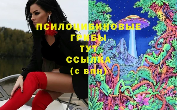стафф Ступино